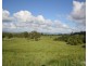 Millaa Millaa QLD 4886