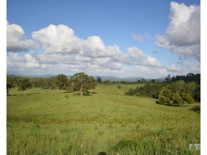 Millaa Millaa QLD 4886