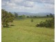 Millaa Millaa QLD 4886