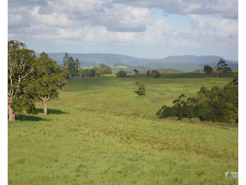 Millaa Millaa QLD 4886