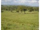 Millaa Millaa QLD 4886