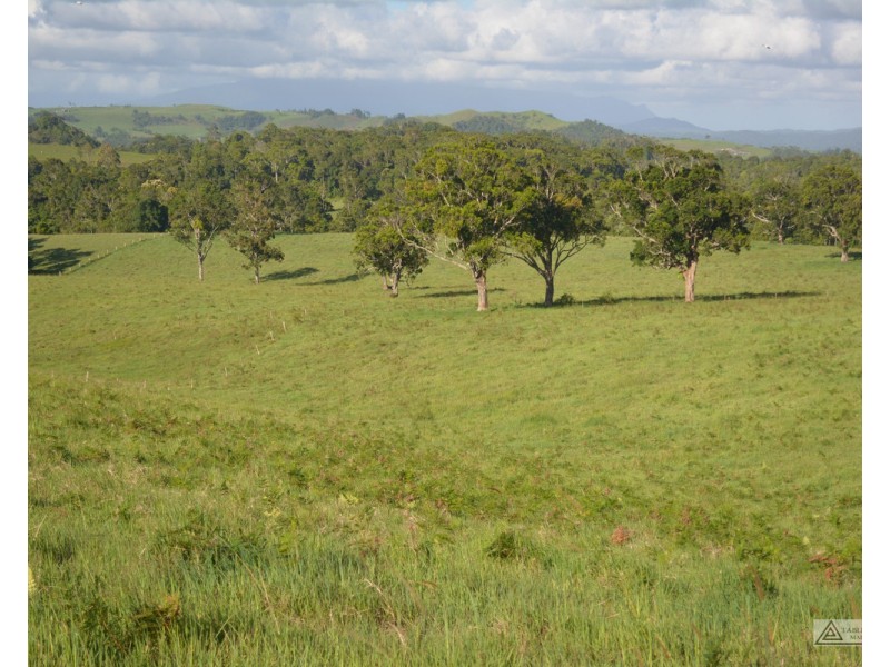 Millaa Millaa QLD 4886