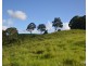 Millaa Millaa QLD 4886