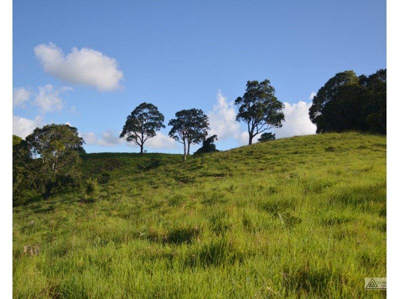 Millaa Millaa QLD 4886