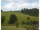 Millaa Millaa QLD 4886