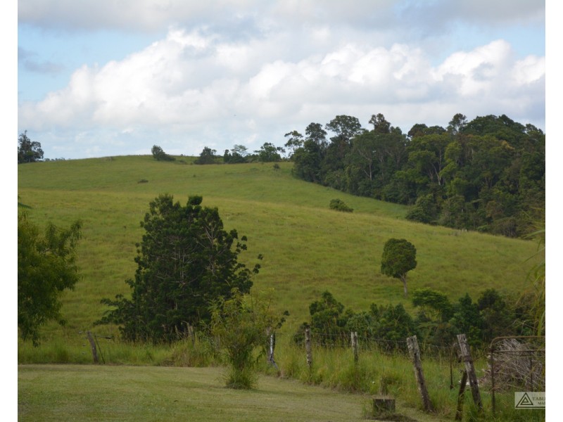 Millaa Millaa QLD 4886