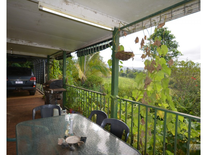 Millaa Millaa QLD 4886