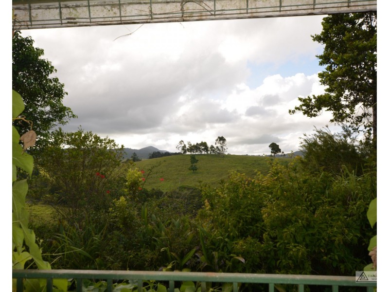 Millaa Millaa QLD 4886