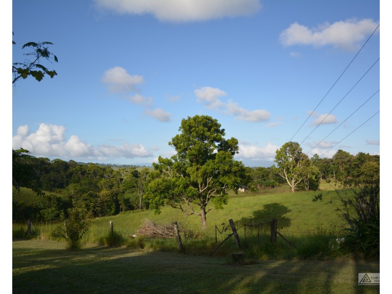 Millaa Millaa QLD 4886
