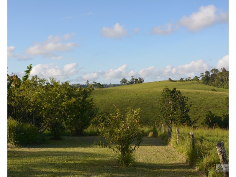 Millaa Millaa QLD 4886