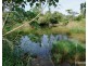 Millaa Millaa QLD 4886