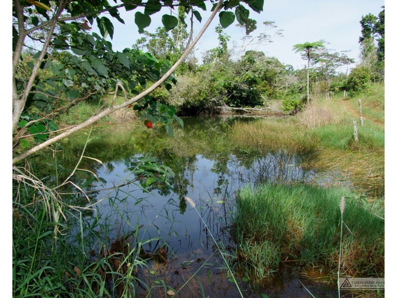 Millaa Millaa QLD 4886