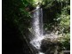 Millaa Millaa QLD 4886