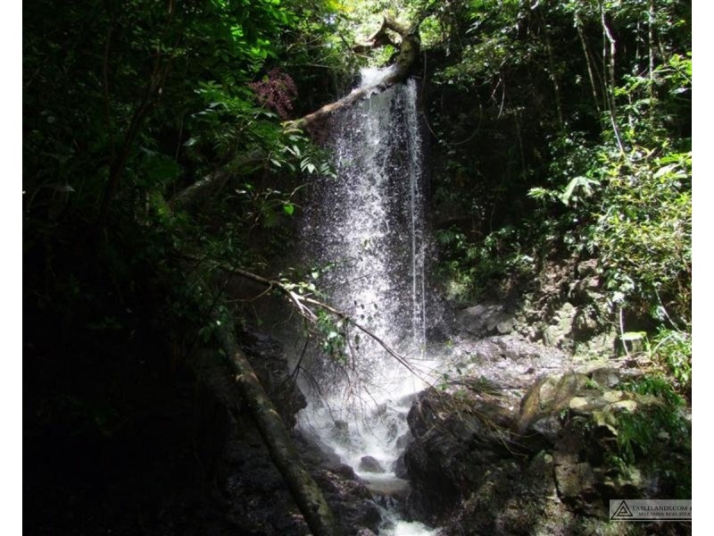 Millaa Millaa QLD 4886