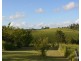 Millaa Millaa QLD 4886