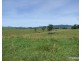 Millaa Millaa QLD 4886