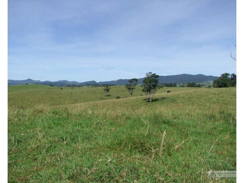 Millaa Millaa QLD 4886