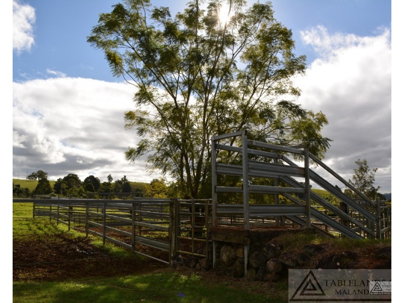 Millaa Millaa QLD 4886