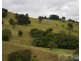 Millaa Millaa QLD 4886