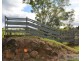 Millaa Millaa QLD 4886