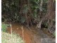 Millaa Millaa QLD 4886