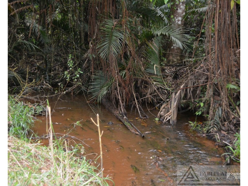 Millaa Millaa QLD 4886