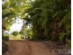 Millaa Millaa QLD 4886