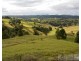 Millaa Millaa QLD 4886