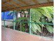 Millaa Millaa QLD 4886