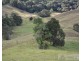 Millaa Millaa QLD 4886