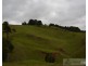 Millaa Millaa QLD 4886