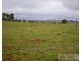 Millaa Millaa QLD 4886