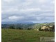 Millaa Millaa QLD 4886