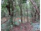 Danbulla QLD 4872