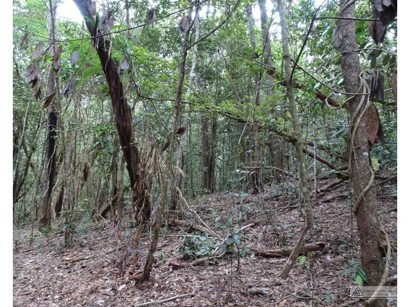 Danbulla QLD 4872
