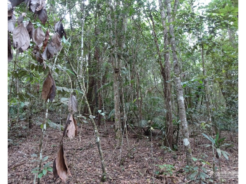 Danbulla QLD 4872