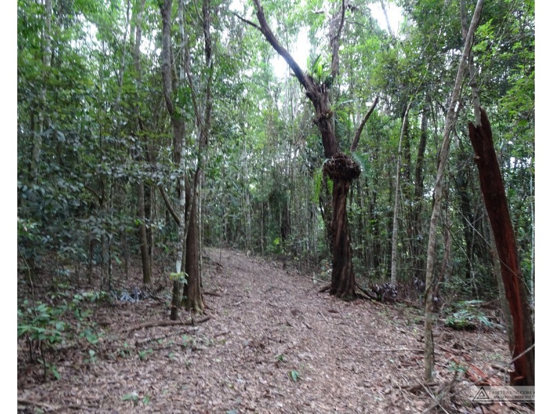 Danbulla QLD 4872