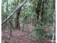 Danbulla QLD 4872