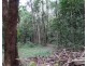 Danbulla QLD 4872