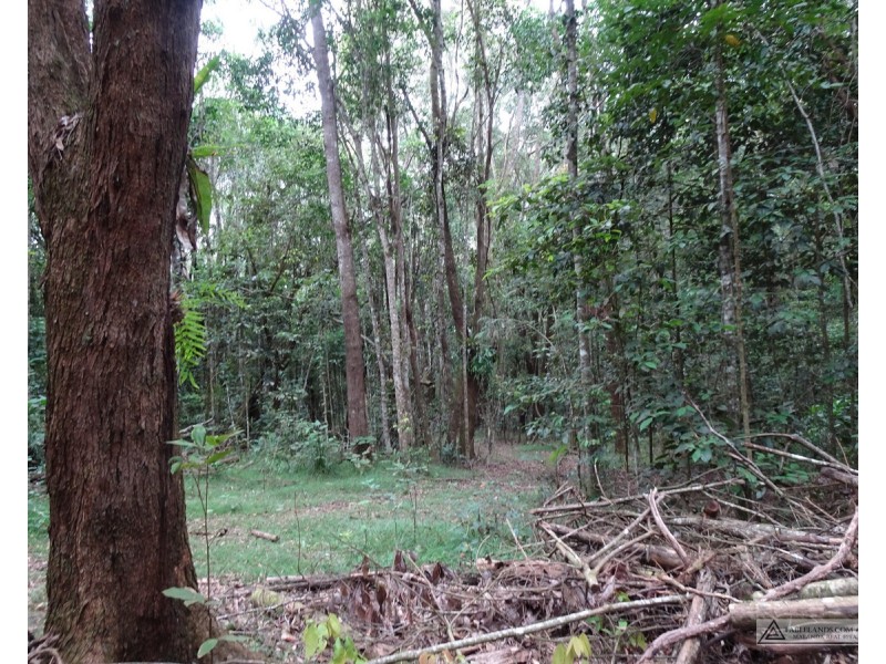 Danbulla QLD 4872