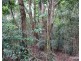 Danbulla QLD 4872
