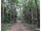 Danbulla QLD 4872