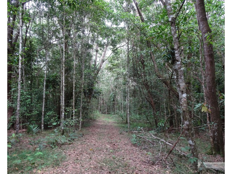 Danbulla QLD 4872