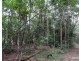 Danbulla QLD 4872
