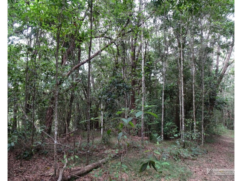 Danbulla QLD 4872