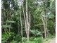 Danbulla QLD 4872