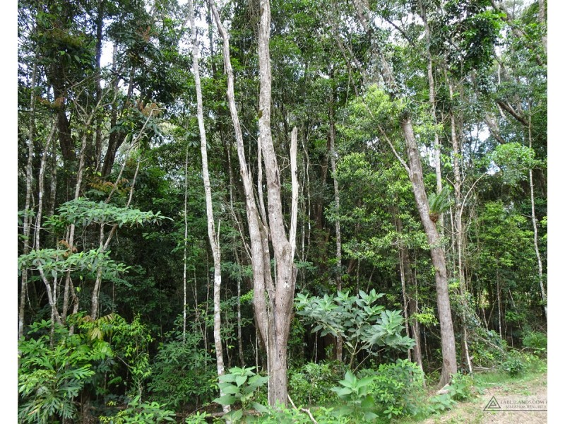Danbulla QLD 4872