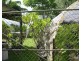 Silver Valley QLD 4872