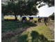 South Innisfail QLD 4860