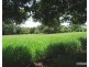 Malanda QLD 4885